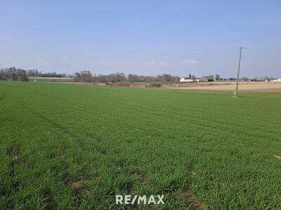 Grundstück kaufen in 4950 Altheim