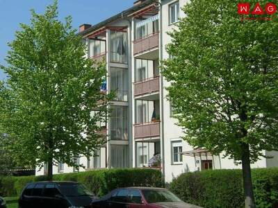 Terrassenwohnung mieten in 4060 Leonding (Bild 3)