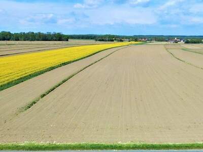 Grundstück kaufen in 8480 Mureck