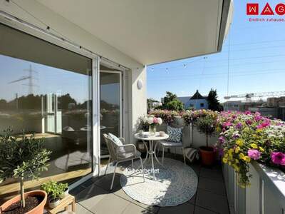 Terrassenwohnung kaufen in 4060 Leonding (Bild 1)