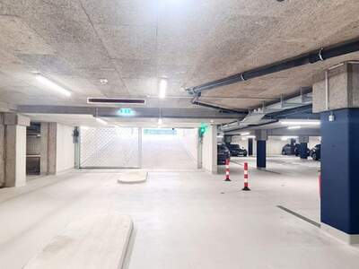 Gewerbeobjekt mieten in 5071 Wals (Bild 5)