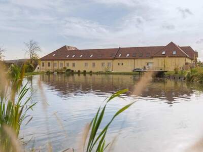 Wohnung provisionsfrei mieten in 8225 Pöllau