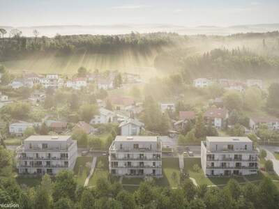 Anlageobjekt kaufen in 4073 Wilhering