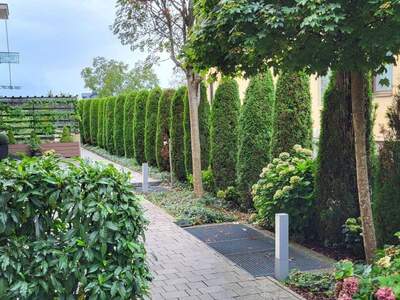 Wohnung mieten in 5026 Salzburg (Bild 3)