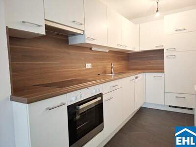 Terrassenwohnung kaufen in 1120 Wien (Bild 3)