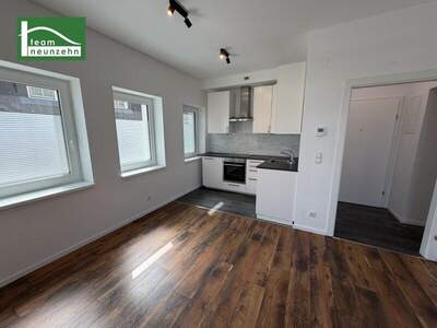 Terrassenwohnung kaufen in 1190 Wien (Bild 3)