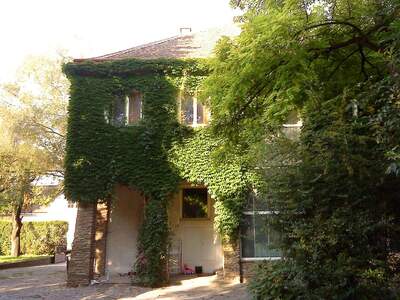 Wohnung mieten in 3430 Tulln