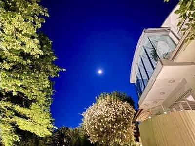 Chalet kaufen in 4600 Wels (Bild 3)