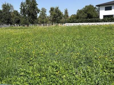Grundstück provisionsfrei kaufen in 5121 Ostermiething