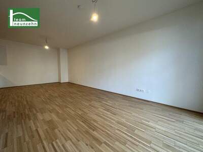 Terrassenwohnung mieten in 1200 Wien (Bild 3)
