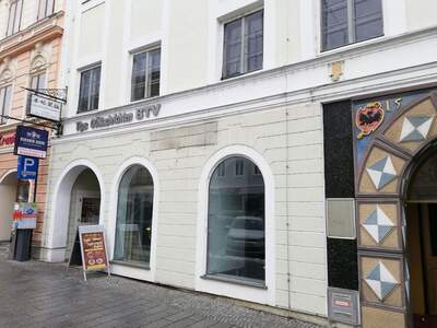 Gewerbeobjekt mieten in 4910 Ried (Bild 5)