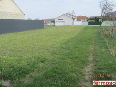 Grundstück kaufen in 7141 Podersdorf