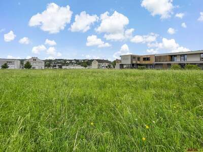 Grundstück kaufen in 7350 Oberpullendorf (Bild 3)