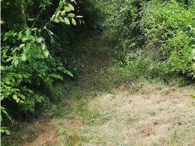 Grundstück kaufen in 3500 Krems (Bild 5)