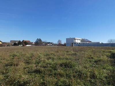 Grundstück kaufen in 7141 Podersdorf