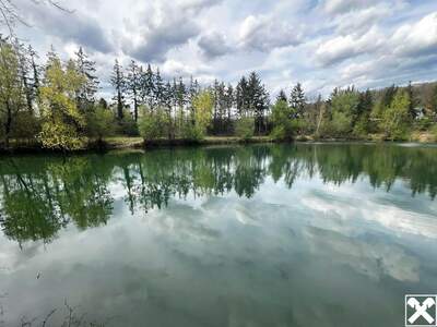 Gewerbeobjekt kaufen in 3382 Neubach (Bild 2)