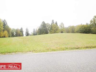 Grundstück kaufen in 4150 Berg