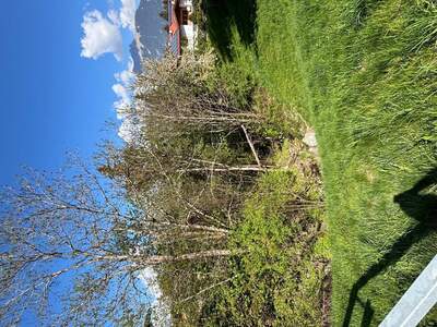 Grundstück kaufen in 6133 Weerberg (Bild 5)