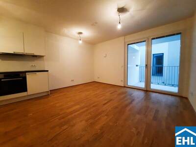 Terrassenwohnung mieten in 1220 Wien (Bild 2)