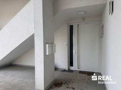 Terrassenwohnung kaufen in 4203 Altenberg (Bild 3)