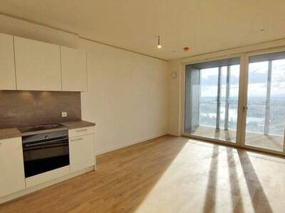 Terrassenwohnung mieten in 1220 Wien (Bild 2)