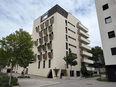 Wohnung mieten in 1100 Wien