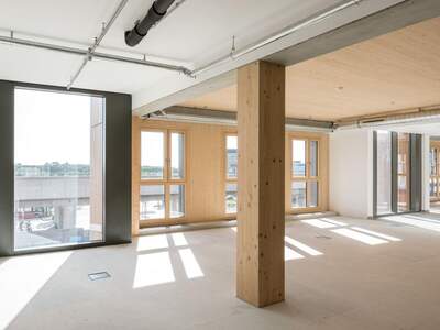 Gewerbeobjekt mieten in 1220 Wien (Bild 2)