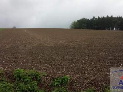 Gewerbeobjekt kaufen in 2431 Enzersdorf