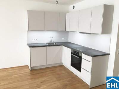 Terrassenwohnung mieten in 1050 Wien (Bild 2)