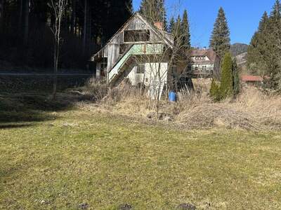 Haus kaufen in 9361 St. Salvator (Bild 2)