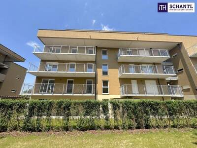 Terrassenwohnung kaufen in 8401 Kalsdorf (Bild 2)