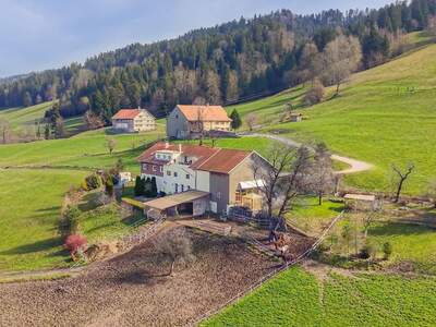 Haus mit Garten kaufen in 6934 Thal (Bild 2)
