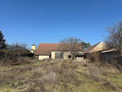 Grundstück kaufen in 2272 Ringelsdorf