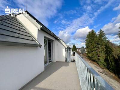 Terrassenwohnung kaufen in 3423 St. Andrä (Bild 4)