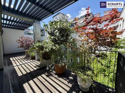 Terrassenwohnung kaufen in 1080 Wien (Bild 4)