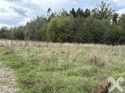 Grundstück kaufen in 8200 Gleisdorf