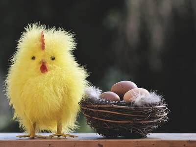 Mietwohnung in 9473 Lavamünd (Bild 1)