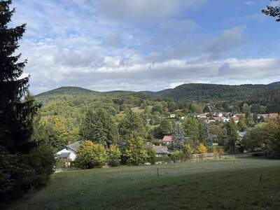 Grundstück kaufen in 2393 Sittendorf