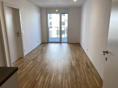 Terrassenwohnung mieten in 1220 Wien (Bild 3)