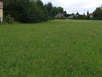 Grundstück kaufen in 5020 Salzburg