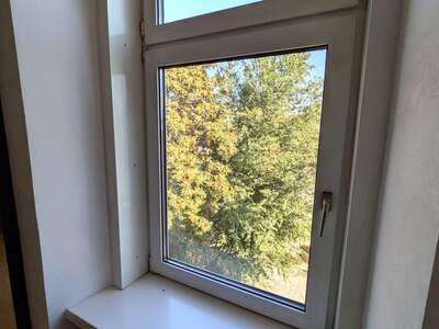 Altbauwohnung kaufen in 1160 Wien (Bild 4)