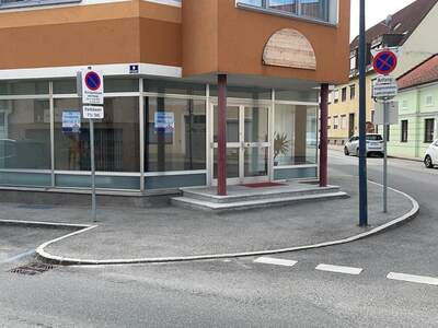 Gewerbeobjekt mieten in 3150 Wilhelmsburg (Bild 2)