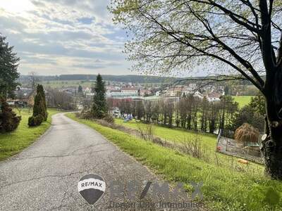 Einfamilienhaus kaufen in 2632 Grafenbach (Bild 2)