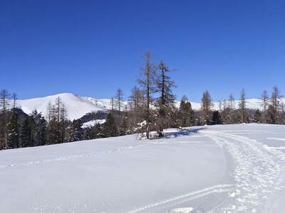 Eigentumswohnung in 9571 Sirnitz (Bild 5)