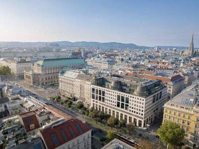 Gewerbeobjekt mieten in 1010 Wien (Bild 4)