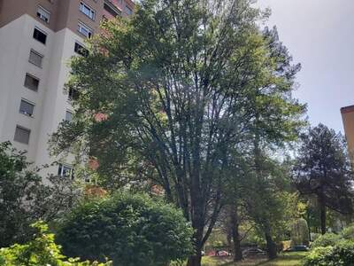 Wohnung mit Balkon kaufen in 8047 Graz (Bild 2)