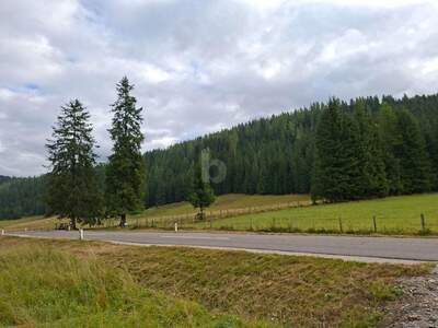 Grundstück kaufen in 9346 Glödnitz (Bild 3)