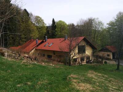 Haus mit Garten kaufen in 4163 Klaffer (Bild 3)