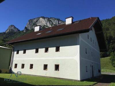 Wohnung mieten in 5400 Hallein