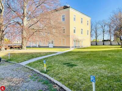 Gewerbeobjekt mieten in 2320 Schwechat